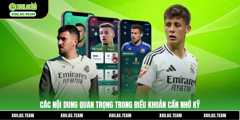 Các nội dung quan trọng trong điều khoản cần nhớ kỹ