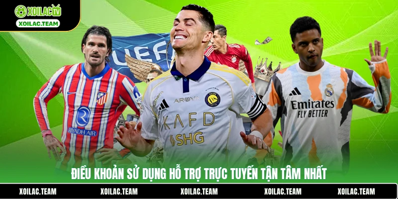 Điều khoản sử dụng hỗ trợ trực tuyến tận tâm nhất