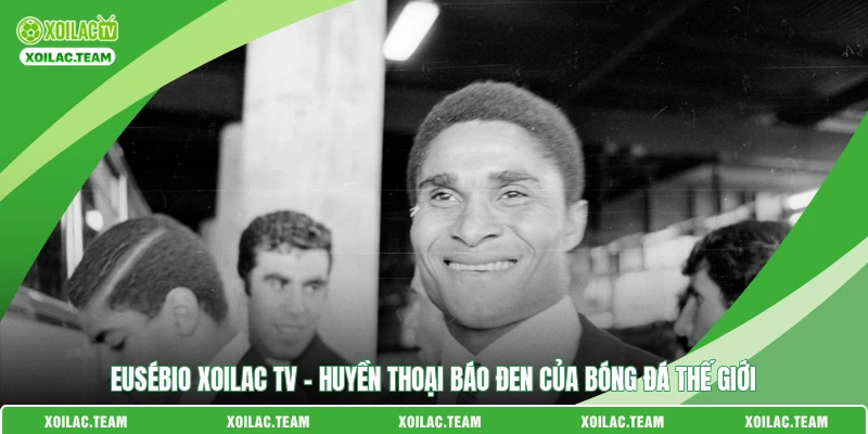 Eusébio Xoilac TV - Huyền Thoại Báo Đen Của Bóng Đá Thế Giới