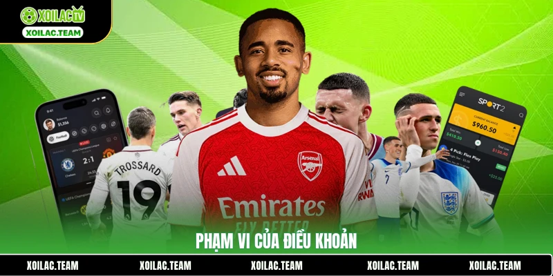 Phạm vi của điều khoản
