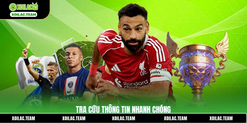 Tra cứu thông tin nhanh chóng