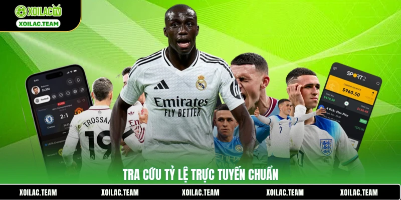 Tra cứu tỷ lệ trực tuyến chuẩn