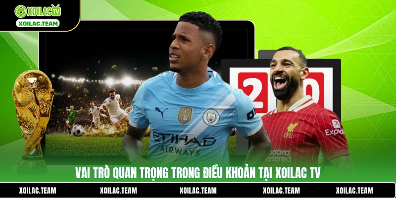 Vai trò quan trọng trong điều khoản tại Xoilac TV